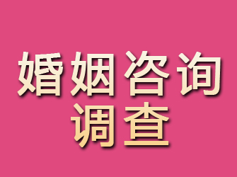 温州婚姻咨询调查公司